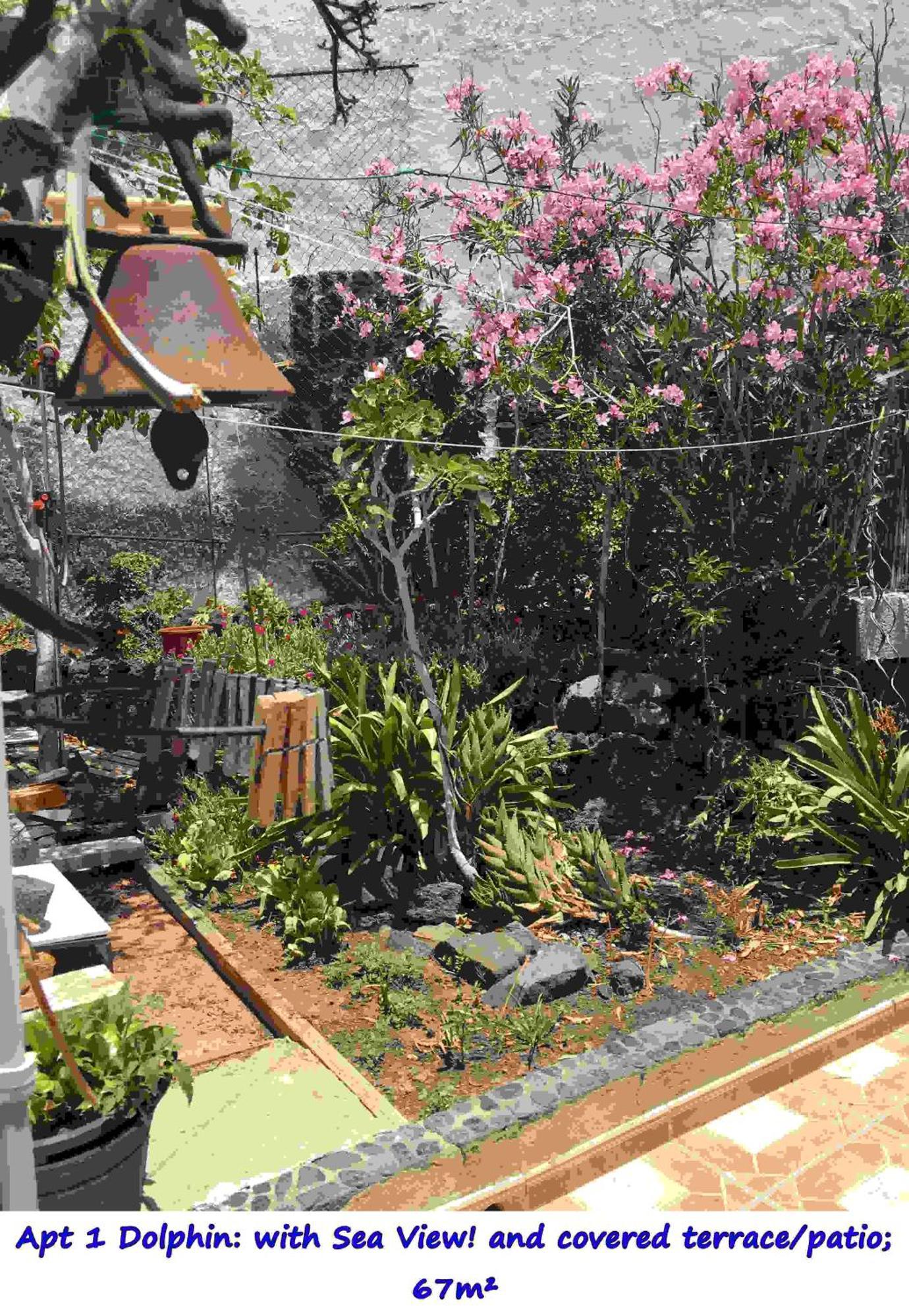Casa Las Playitas -Clp- Best Sea View - In 1 Minute Ocean Las Playas Ngoại thất bức ảnh