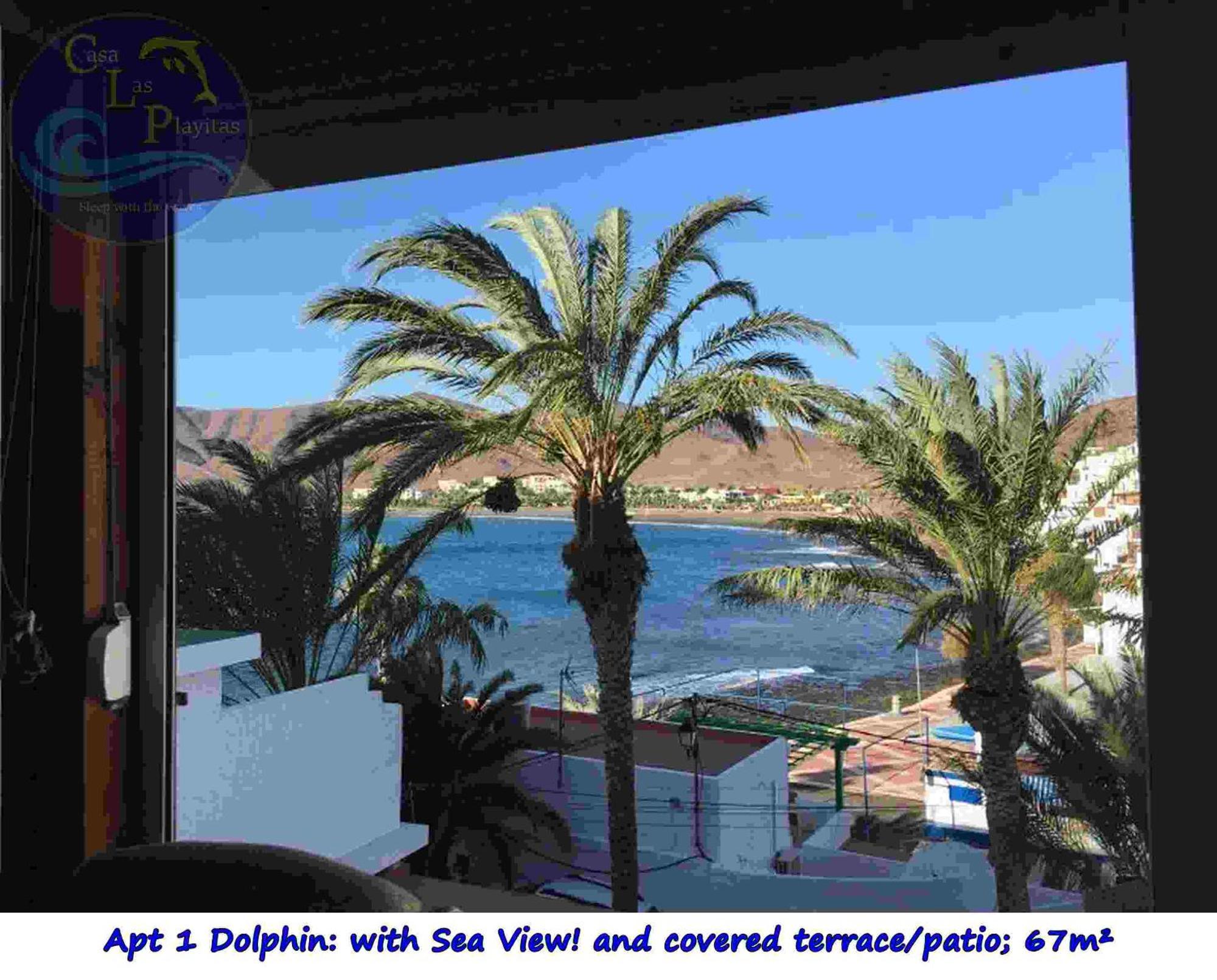 Casa Las Playitas -Clp- Best Sea View - In 1 Minute Ocean Las Playas Ngoại thất bức ảnh