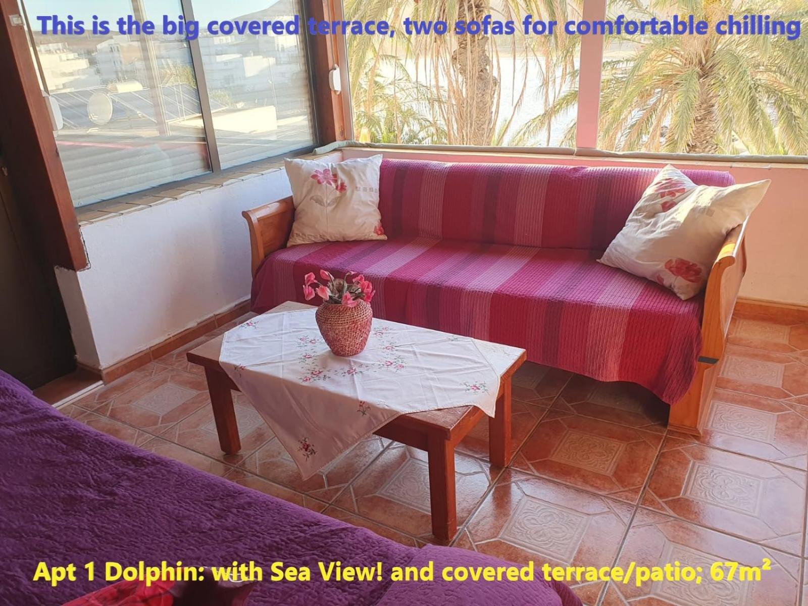 Casa Las Playitas -Clp- Best Sea View - In 1 Minute Ocean Las Playas Ngoại thất bức ảnh